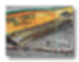 shapira4000201+okx.jpg