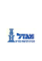 מגדל.jpg