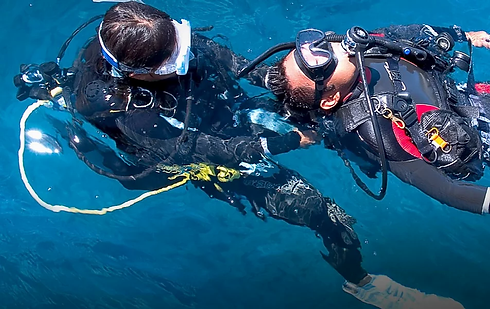 Rescue.webp
