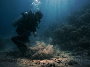 Presence Is Not Neutral Underwater