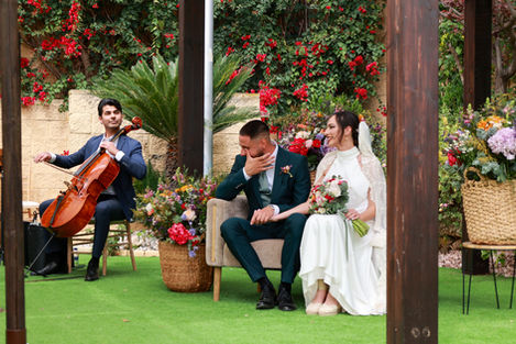 Bodas