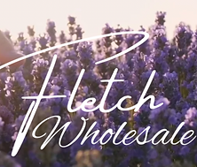 Screen Shot 2023-10-09 at 3.47.47 PM.png