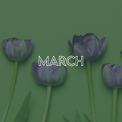 TC Social - Website Icons (4).png