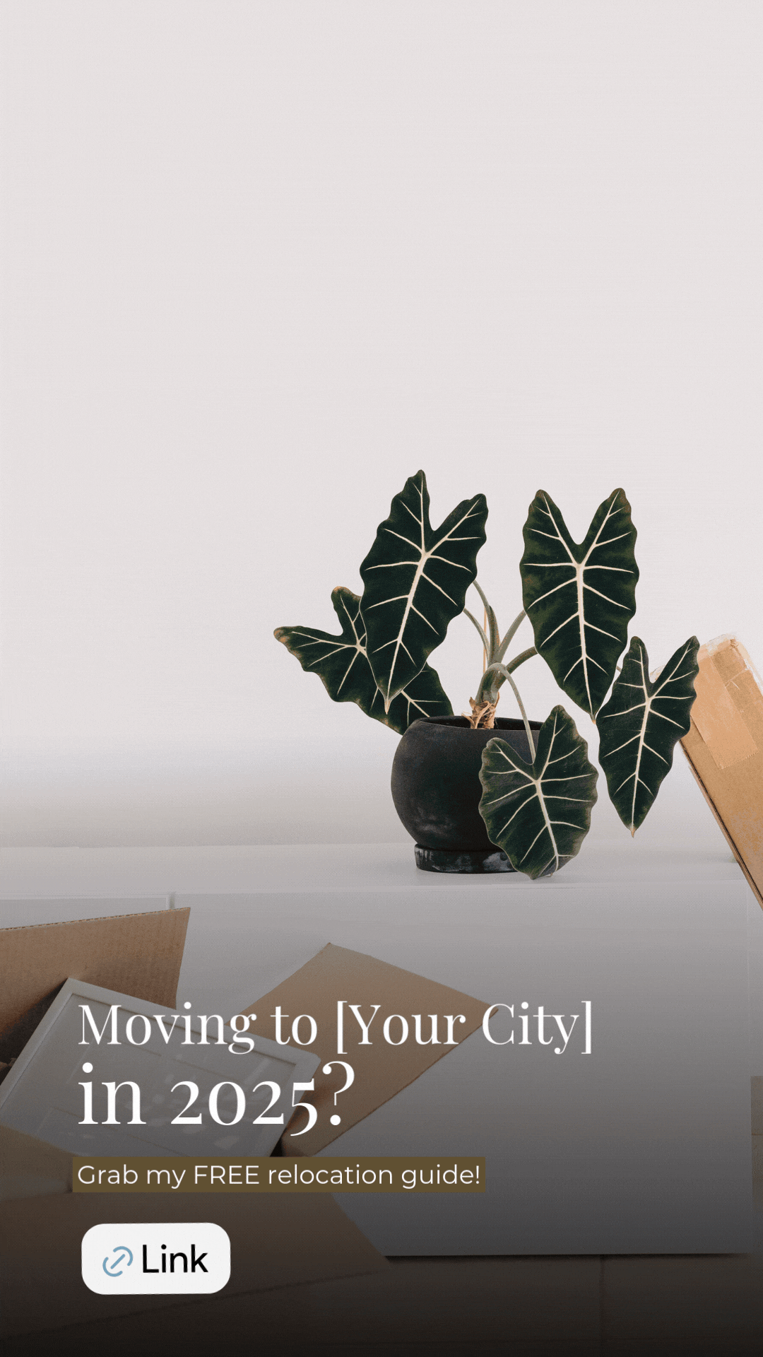 February Stories  RE Social Club.gif