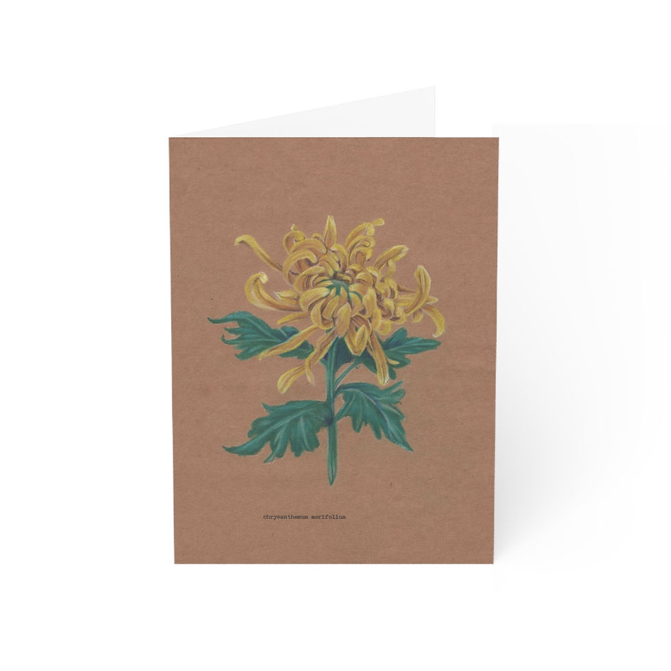 Thumbnail: Japanese Chrysanthemum Greeting Cards (1, 10, 30, and 50pcs)