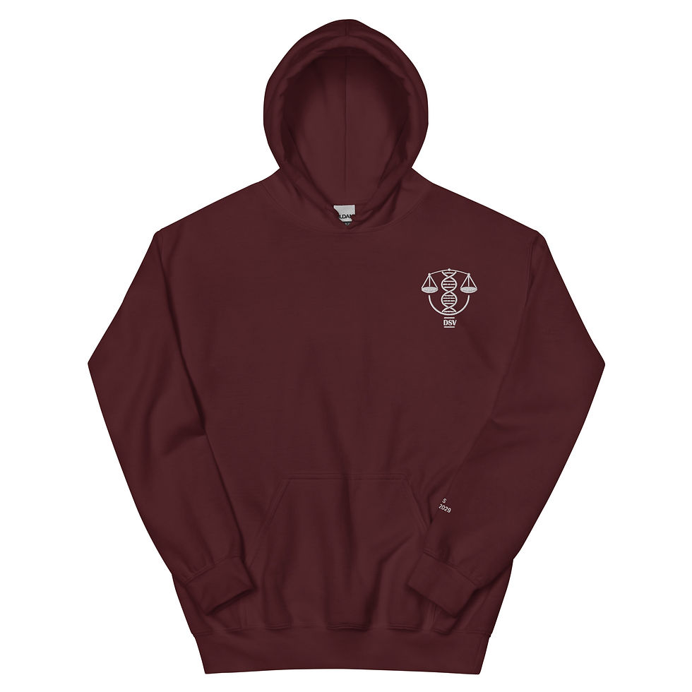 Miniature : Hoodie DSV 2025-2029