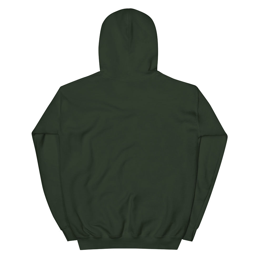 Miniature : Hoodie Droit-MBA 2024-2028 brodé