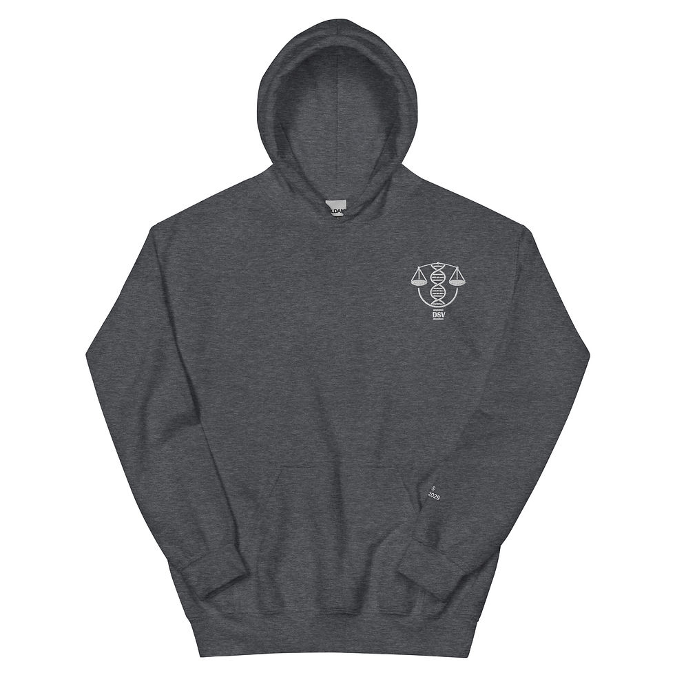 Miniature : Hoodie DSV 2025-2029