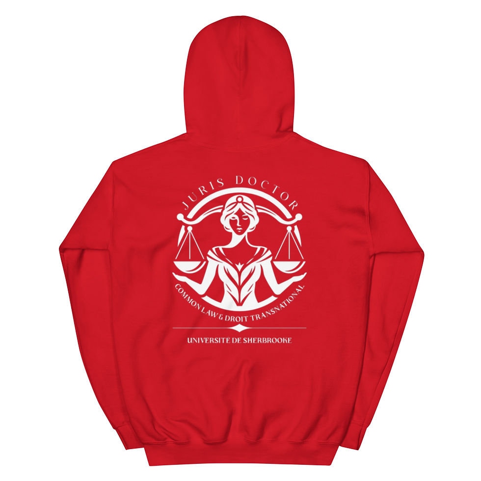Miniature : Hoodie common law 2025-2028