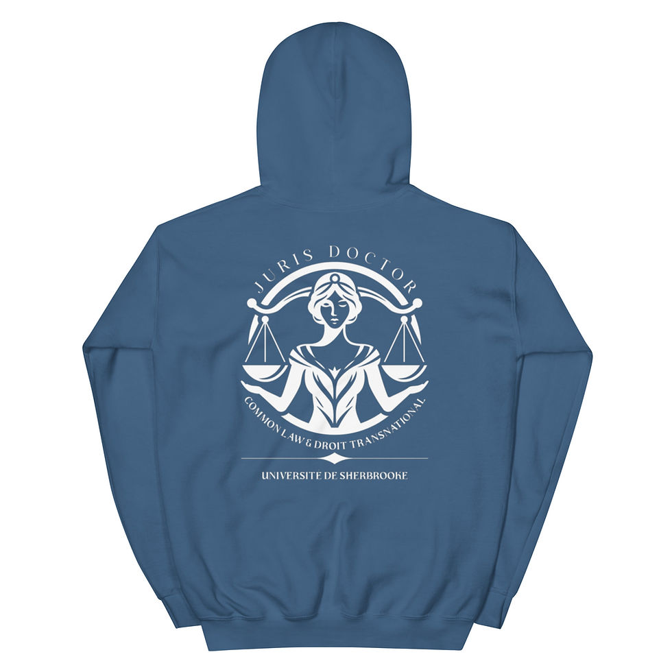 Miniature : Hoodie common law 2024-2027