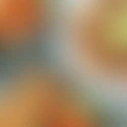 Sweet Potato Quinoa Burger Patties