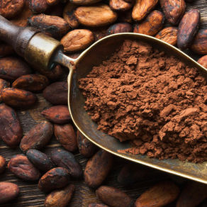 Cacao – Food of the Gods