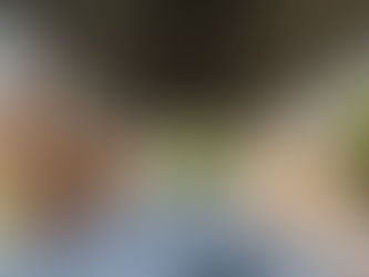 Turin und die Automobil Ausstellung in freier Natur