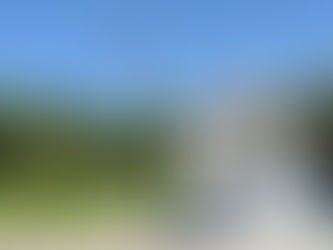 Abenteuer an der Westküste Floridas