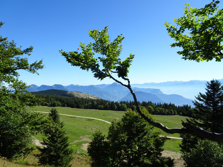 Vercors (F) – ein verborgenes Bergparadies