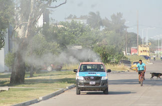 Dengue: acciones de prevención localidades del interior provincial