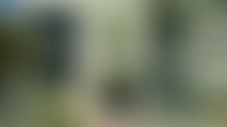 Conmemoran el día del camino y del trabajador vial en la DPV