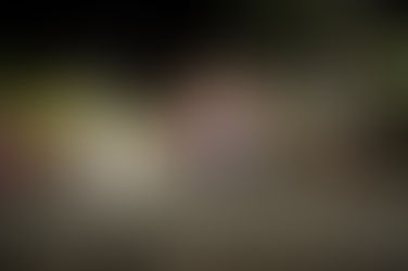 Fedema 2016: Todas las oportunidades de negocios en un solo lugar de la ciudad