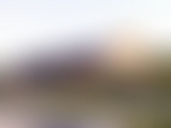 El seminario iberoamericano hoy cierra
abordando sobre recursos zoo genéticos