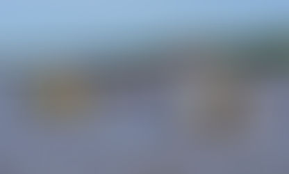 Con caña de 3,50 en la orilla del río Paraguay, en la isla 9 de Julio