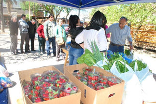 Alta demanda de bolsones saludables
