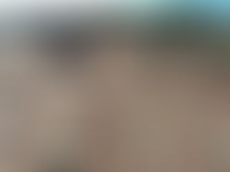 CEDEVA: Inicios y presente de un organismo esencial