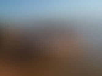 En vigencia la veda pesquera en la provincia