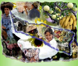 “Conociendo Mi Provincia”