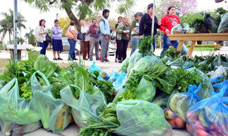 A beneficio de la economía familiar, otro martes de bolsones saludables
