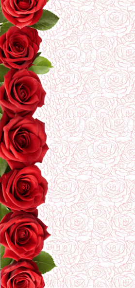 left bouquet-of-red-roses-png.png