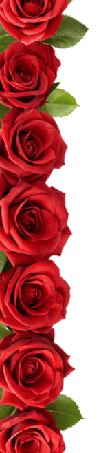 left bouquet-of-red-roses-png.png