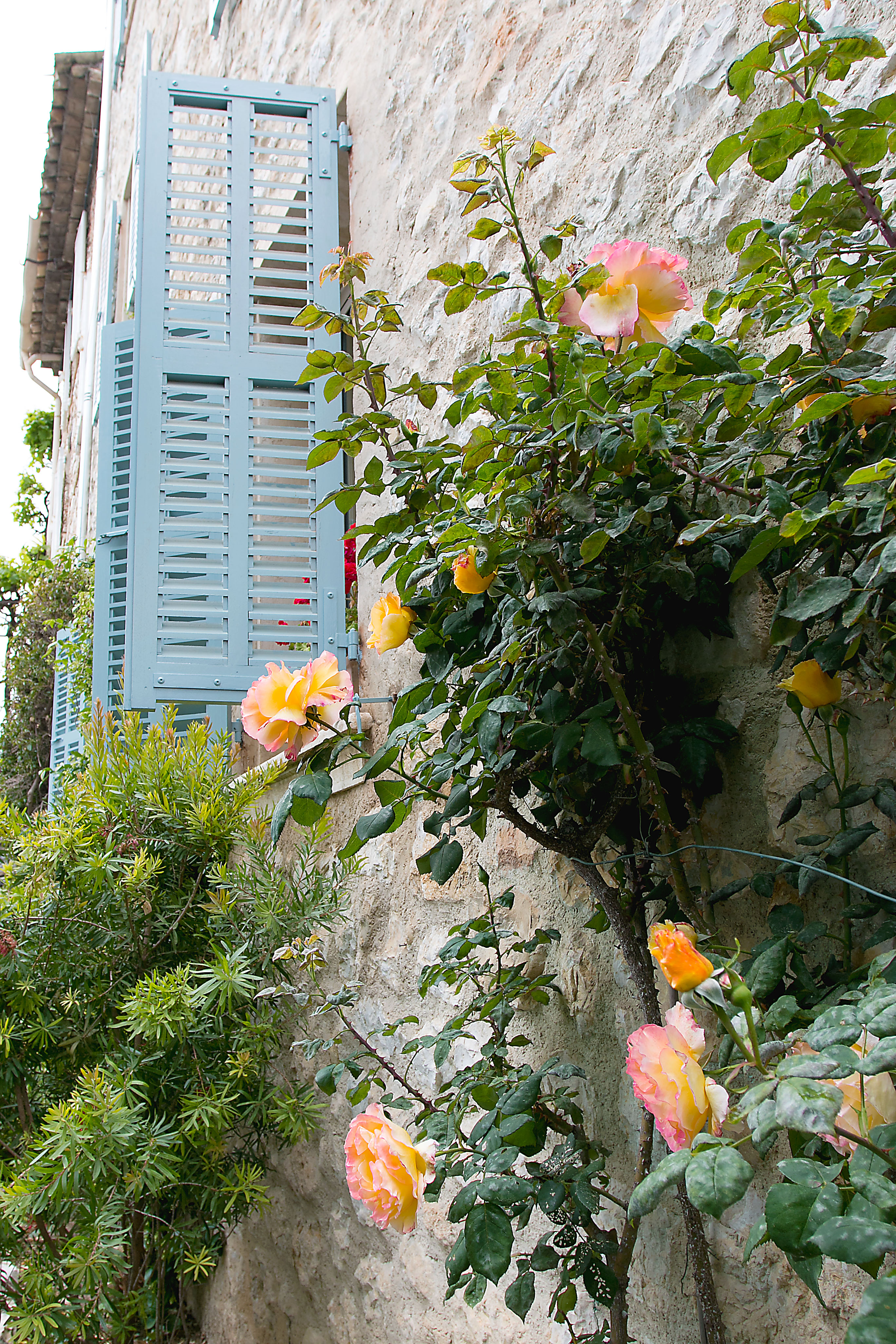 Saint-Paul-de-Vence