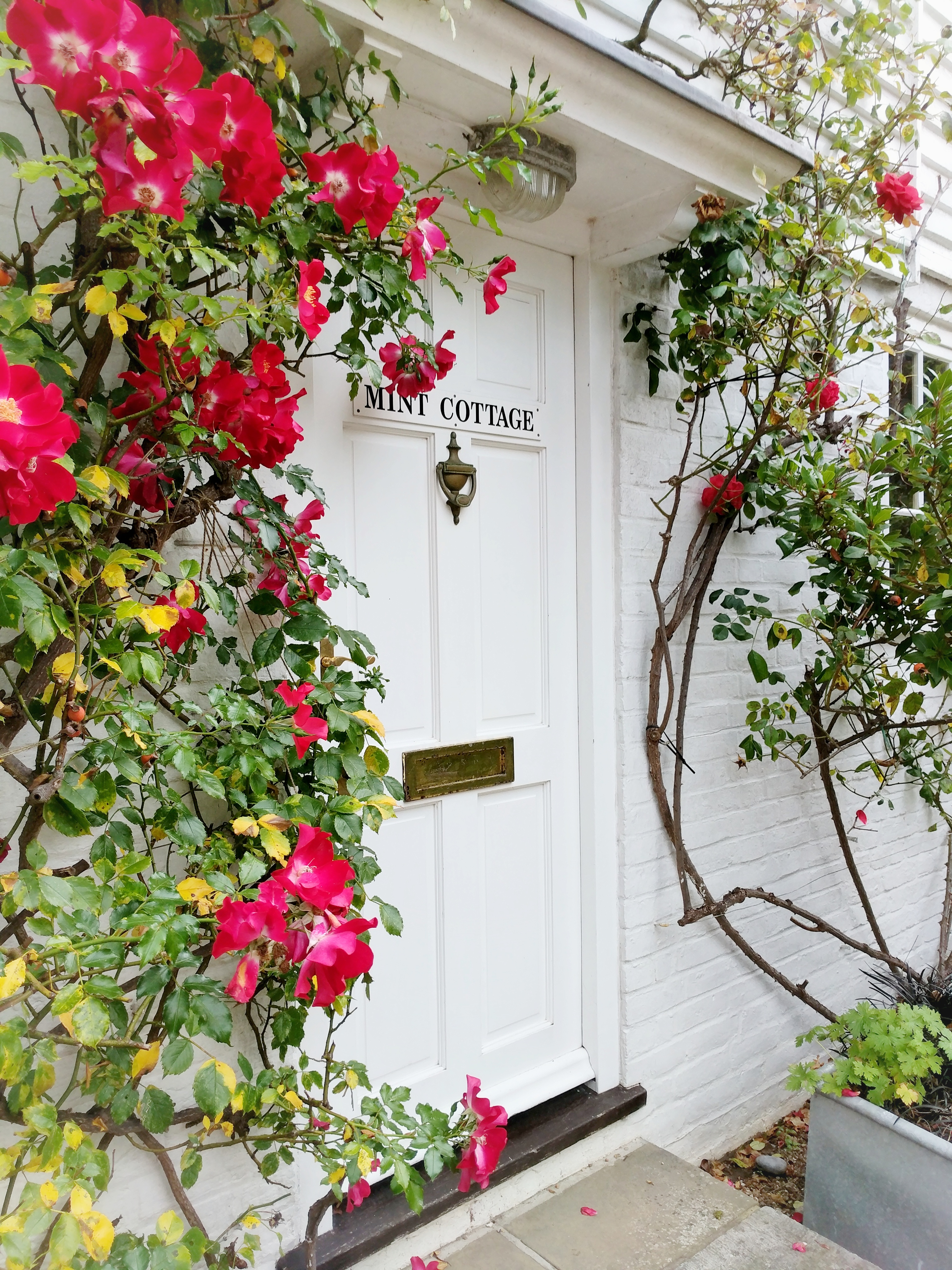 Mint Cottage, Rye, Sussex