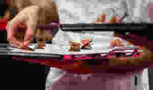 Miniature tart, creamy and crunchy chocolate brioche - live demo at Salon du Chocolat Paris 2019