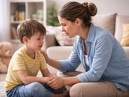 Birras, Limites e Amor: Neuroeducação para Mães Reais e Dias Reais