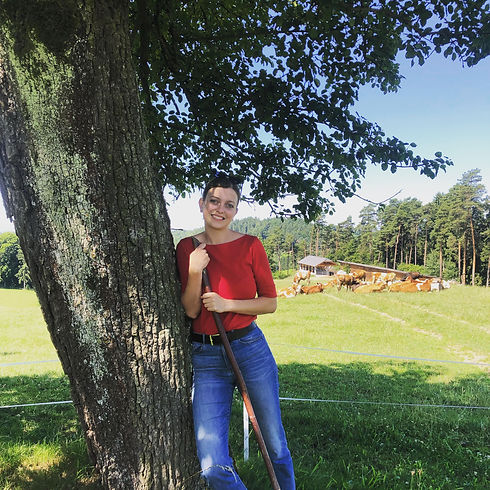 WhatsApp Image 2025-01-15 at 19.27.25.jpeg