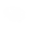 thumbnail (7).png