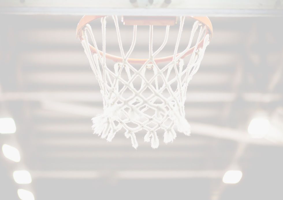 Basketball Net_edited.jpg