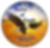 Civi-Tek-Consulting_Client-Eagle.jpg