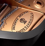 steinwayframe_edited.jpg