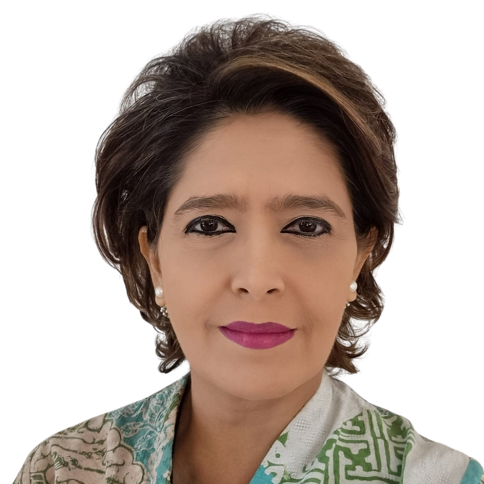 Shaanti Shamdasani, Vice Chair Investment&promotion Indonesian Chamber Of Commerce & Indus