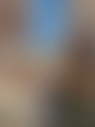 Welcoming Katie, our new Honorary Member