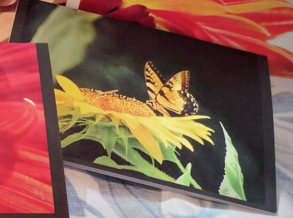 Sunflower & Butterfly (Small Print)