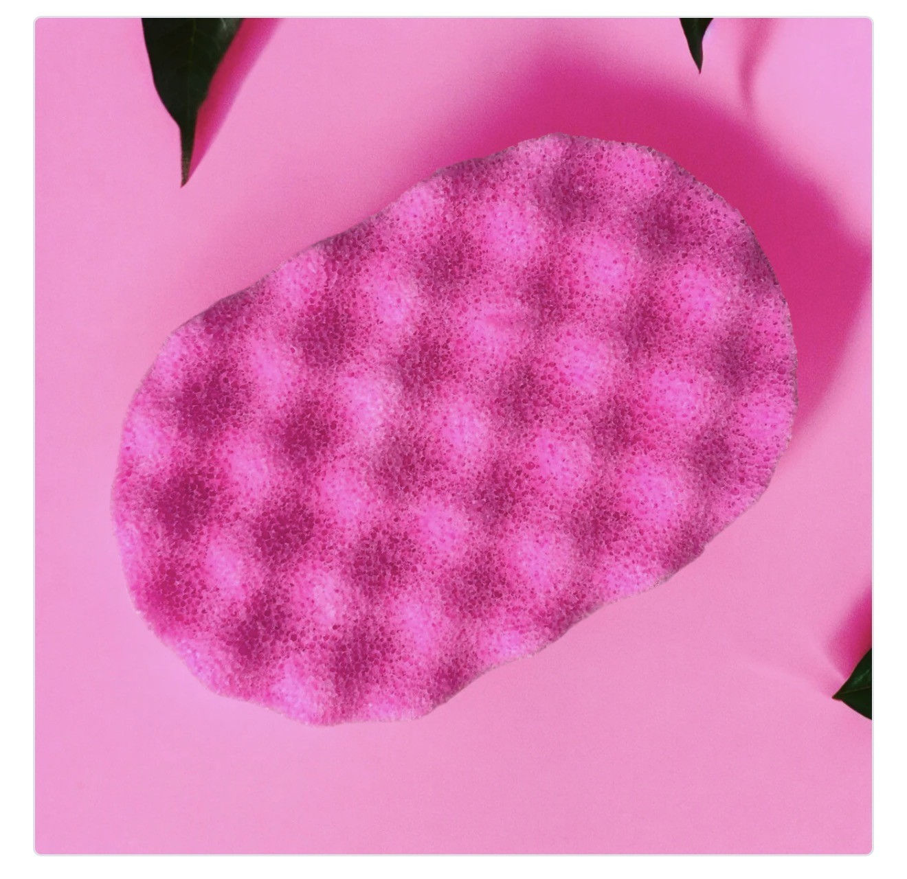 Marshmallow + Raspberry Soap Infused Sponge