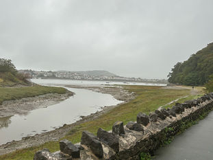 Running down a dream (interlude)