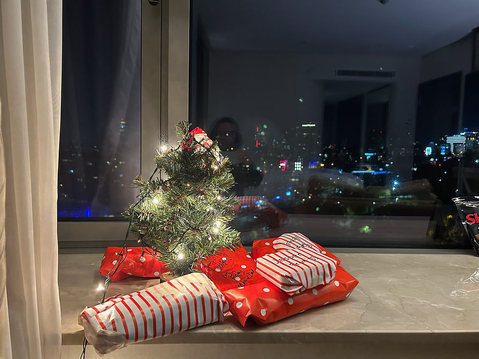 Our little Christmas Tree