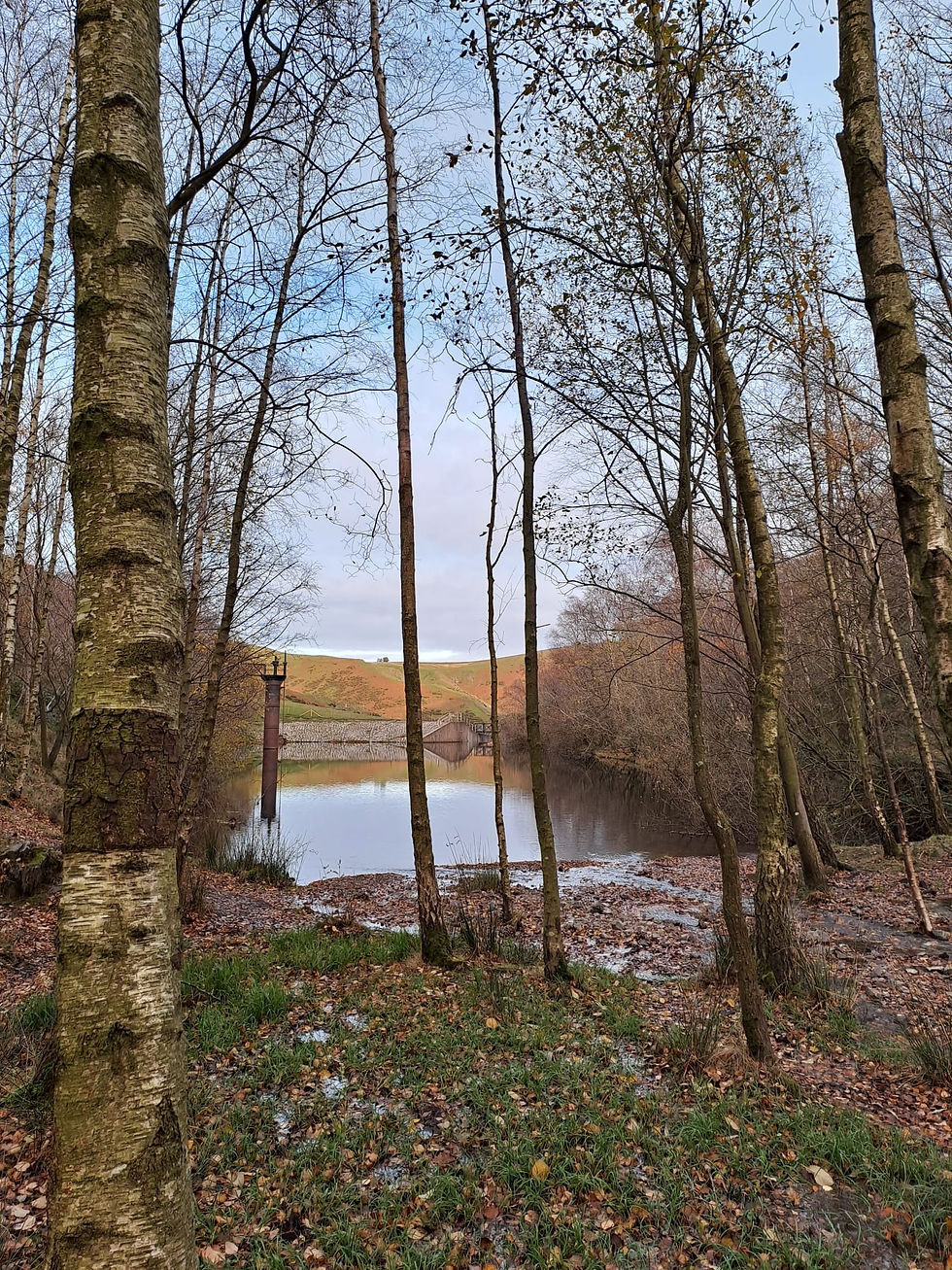 Sustaining the Season