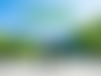 From Compliance to Competitiveness: The Green Economy’s Effect on Corporate India and ESG Reporting