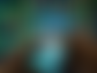 The Tier-2 Titan: How Meesho Conquered the Market Others Couldn’t Reach