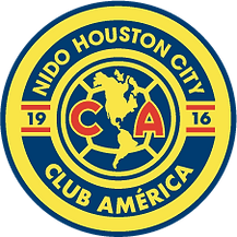 Nido_Houston_City-Yellow.png